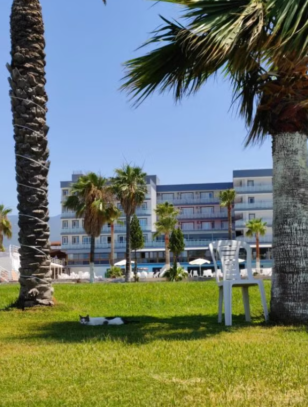 Diva Turka Beach Hotel