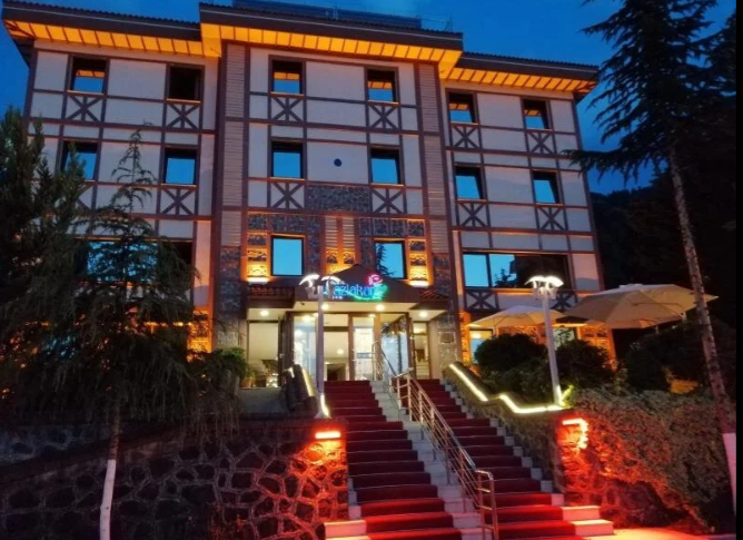 Genel Görünüm
