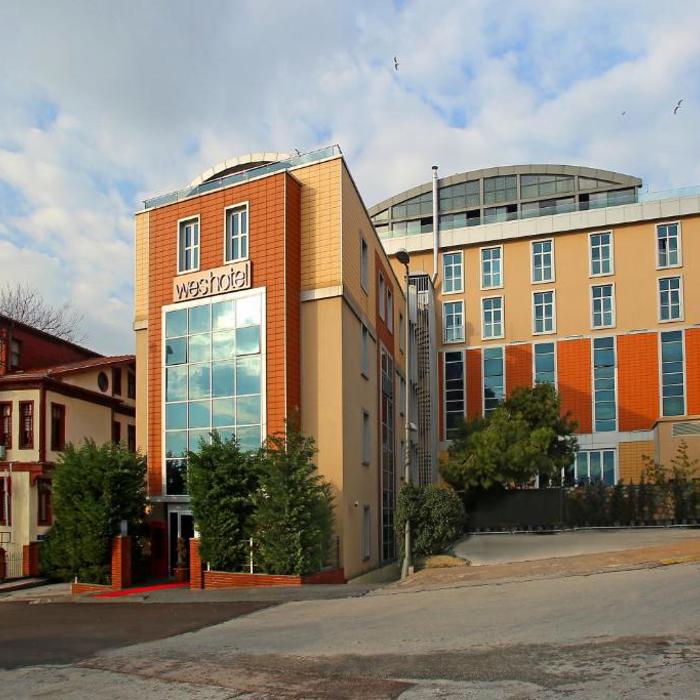 Genel Görünüm