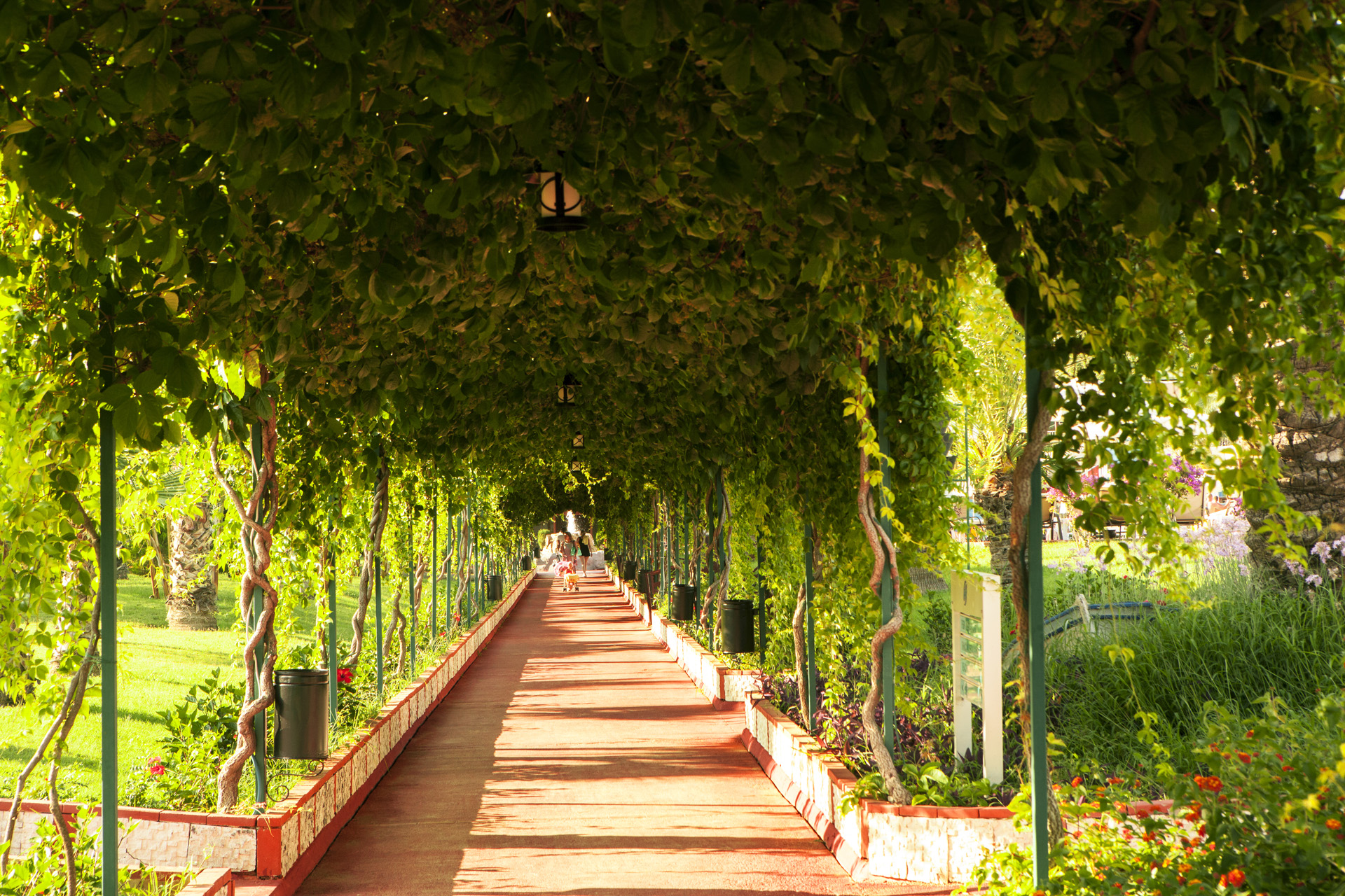 Exterior Garden 4