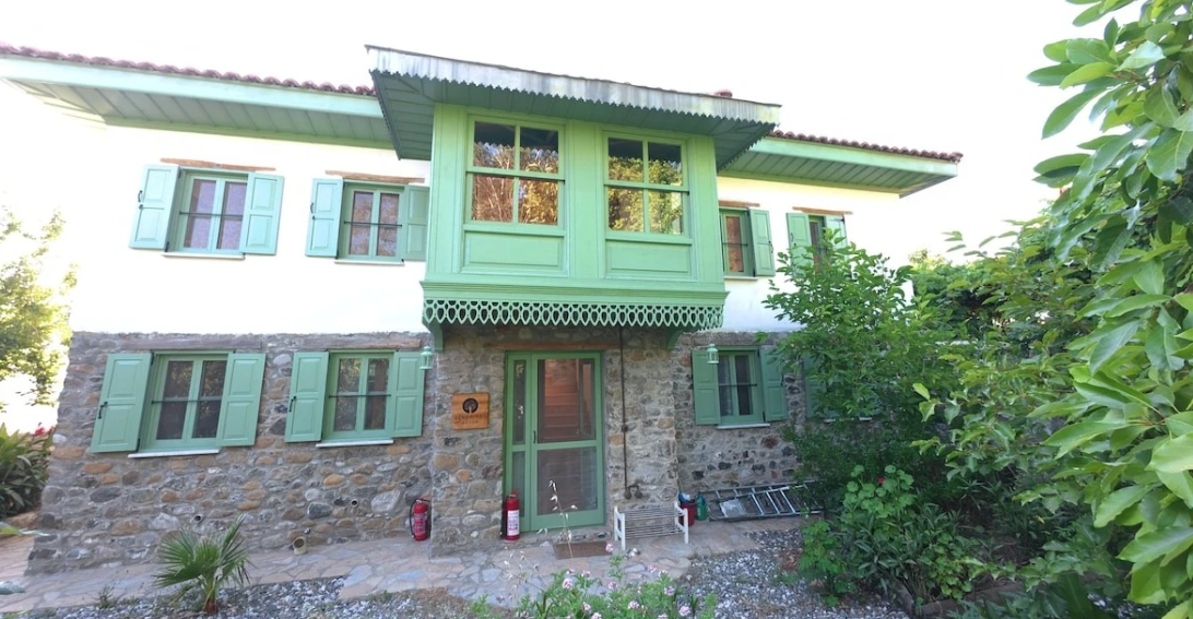 Genel Görünüm